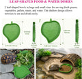 11PCS Tortoise Starter Kit with Feeding Toys, Tortoise Bathing Pool, Water & Food Dish Set, Turtle Shell Cleaning Brushe