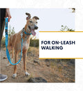 Ruffwear, Web Reaction Martingale Dog Collar