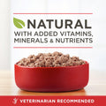 Purina ONE Wet Dog Food True Instinct Classic Ground Grain-Free Formula With Real Beef and Wild Caught Salmon High Protein Wet Dog Food - (Pack of 12) 13 oz. Cans