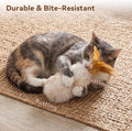 Migipaws 2-Pack Plush Cat Toys with Natural Feather & Catnip, Soft Fluffy Tail & Interactive Hanging Ring for Wand Attac