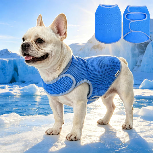 EXPAWLORER Cooling Dog Vest for Small Medium Large Dogs, Adjustable Lightweight Breathable Summer Jacket with UV Protection, Quick Dry Evaporative Vest for Hot Weather Outdoor Walking Hiking, Blue M