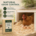 88 Oz (5.5 lb) Premium 100% Natural Radiata Pine Shavings for Chickens, Low Dust & Super Absorbent Wood Shavings, Pine S