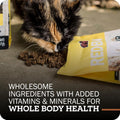 Redbarn Air Dried Powerfood Cat Food Chicken Recipe, Made in USA, 2.5 oz