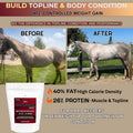 Pennwoods Body Builder 4000 Horse Weight Gain Fat Conditioner, 25 lb