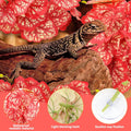 QUOZUO 2 Pack Reptile Plants for Terrarium, Artificial Leaves Habitat Decorations with Suction Cups, Terrarium Hanging P
