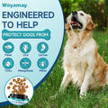Flea and Tick Prevention Chews Bundle for Cats & Dogs, Natural Oral Flea Treatment, 200 Dog Soft Chews + 500 Cat Crunchy