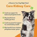 Pet Wellbeing Core Kidney Care for Dogs - Daily Phosphate Binder, 144 g