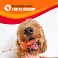 Good 'n' Fun Twists Long-Lasting Dog Treat Made With Real Protein, 10 Count