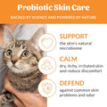 SKOUT'S HONOR Probiotic Cat Shampoo & Conditioner with Avocado Oil & Omega-3s, 97% Natural, Paraben & Sulfate-Free, Cruelty-Free, Defend Against Itch, Dryness, Irritation, 16oz, Honeysuckle