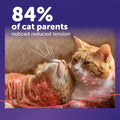 FELIWAY MultiCat Cat Calming Diffuser Kit and 1 Pack Refill – Helps Reduce Fighting, Tension and Aggression Between Cats