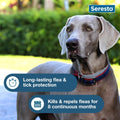 Seresto Flea & Tick Collar for Dogs Over 18 lbs., Treatment & Prevention, Vet-Recommend, 8 Month Protection (Pack of 2)