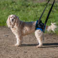 Walkabout Back End Harness (med/Large