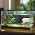 Turtle Toys for Aquatic Turtle Tank Accessories, Brush and 4 Balls