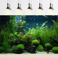 Aquarium Background Diverse Collection of Aquatic Plants Seagrasses Terrarium Background Redwood Root Moss Tropical Styl
