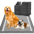MIZOK Pee Pads for Dogs 28x34in Charcoal Dog Pads Extra Large, Super Absorbent Odor Eliminating Leak-Proof, Dog Pee Pads with Activated Carbon for Large Breeds, Disposable (40 Count)