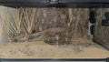 Fake Desert Dry Grass Reptile Plants Bearded Dragon Terrarium Décor