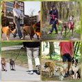Heavy Duty 3 in 1 Dog Leash, 360 Swivel No Tangle No Pull Climbing Rope Leash Control for Small Medium and Large Dogs fo