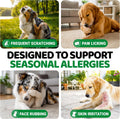 Dog Allergy Relief Chews - 240 Immune Treats - Dog Itching Skin Relief Treatment Pills - Anti-Itch - Itchy and Paw Licking - Omega 3 Fish Oil for Dogs Allergies - Dry Skin & Coat Supplement Vitamins