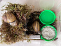 Premium Land Snail Substrate - The Perfect Bedding for Your Pet Snail | Weight 7 Oz or 200 Grams