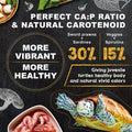 Ultra Fresh Floating Juvenile Turtle Food, All Natural Ingredients, Wild Sword Prawn, w/Deodorizing Probiotics, Juvenile