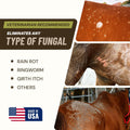 Antifungal Shampoo for Horse Antibacterial Formula Clinical Care Antiseptic
