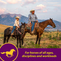 Farnam Horse Health Red Cell, Liquid Vitamin-Iron-Mineral Supplement for Horses, Helps Fill Important Nutritional Gaps i