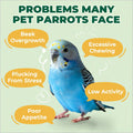 Zoody Parakeet Treats Crunchy Cups with Real Seeds & Grains 2 oz