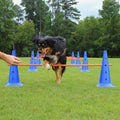 Lord Anson Dog Agility Hurdle Cone Set - 8 Cones & 4 Rods - Adjustable, Versatile, Heavy Duty - Agility, Obedience, Rehabilitation