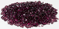 Pisces AM-BETTA105 17 oz Violet Betta Jewels, One Size