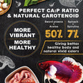 Ultra Fresh Betta Fish Food, Betta Pro Shrimp Patties, 50% Sword Prawns + Akiami Paste Shrimps, All Natural Protein, Ric