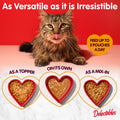 Delectables Lickable Treat Chowder Wet Cat Treat with Real Tuna & Chicken, Food Topper, Hydrating, Grain-Free, No Fillers, By-Products, Added Preservatives, 1.4oz Pouch, 12ct