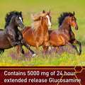 Vita Flex Pro Equinyl Combo Joint Horse Joint Supplement, 60-Day Supply