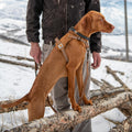 Carhartt Nylon Duck No Pull Dog Harness Deep Wine M