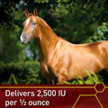 Pro E-5000 Premium Horse Vitamin E Powder, Antioxidant Support with Yeast & Alfalfa for Palatability, Equine Vitamin E S