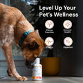 ION* Intelligence of Nature Gut Support for Pets, 16 Fl Oz (Pack of 1)