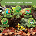 SunGrow Dwarf Frog Mini Catappa Leaves (50 Pc) - Tannin Helps Remove Ammonia, Lower pH - Leaf Litter Indian Almond Leave