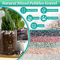 AVALUTION Aquarium Gravel for Plants -7lb Fish Tank Gravel for Succulent Cactus & Bonsai, 1/4Inch Decorative River Rocks