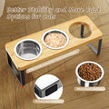Elevated Cat Bowls with 3 Stainless Steel Bowls | 10° Tilted Anti-Vomiting Raised Cat Food Bowl for Small Cats and Puppies Pet Bowl with Stand