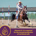 Horse Health Vita B-12 Crumbles Vitamin Horse Supplement, 3 lbs