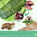 LECHONG Stuffed Animal Dog Toys, 5 Pack Tough Squeaky Dog Toys, Plush Toys Assortment, Great Value Pet Toys Bundle, Woodland Series Chew Toys for Large Medium and Small Dogs Puppy Pet Toys