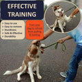 DEYACE Quick Release Dog Training Collar Adjustable Stainless Steel Collar for Small Medium Large Dog
