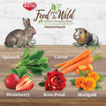 Kaytee Food from the Wild Natural Snack for Rabbits & Guinea Pigs, 1 Oz