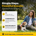 Educator ET-300 Black Mini E Collar for Dog Training with Remote - 1/2 Mile Range, Waterproof, 100 Blunt Stimulation Lev