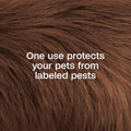ADAMS Plus Pyrethrin Flea Dip for Dogs and Cats, Kills and Repels Fleas, Ticks, Lice, Gnats, Mosquitoes and Flies, for Dogs, Cats, Puppies, & Kittens, 4 Fl oz
