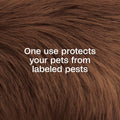 ADAMS Plus Pyrethrin Flea Dip for Dogs and Cats, Kills and Repels Fleas, Ticks, Lice, Gnats, Mosquitoes and Flies, for D