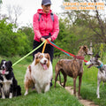 12 Pack Bulk Dog Leashes, 6FT Pet Lead Leash with Swivel Hook