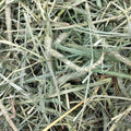 Oxbow Timothy Hay & Orchard Blend, Rabbit & Guinea Pig Hay, USA, 40 oz