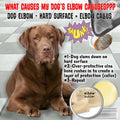 The Blissful Dog Elbow Butter for Dry, Cracked Calluses, Lick-Safe Dog Balm, Soothing Elbow Balm with Moisturizing Shea Butter, Almond, Olive, and Essential Oils, Pet Supplies, 2.25 oz. Stick