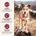 Only Natural Pet MaxMeat Air Dried Beef Dry Dog Food Grain Free, 2 lb