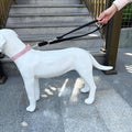 Double Ended Dog Leash,for Obedience Training Easy to Use,Lightweight,Soft for Large and Medium Dogs